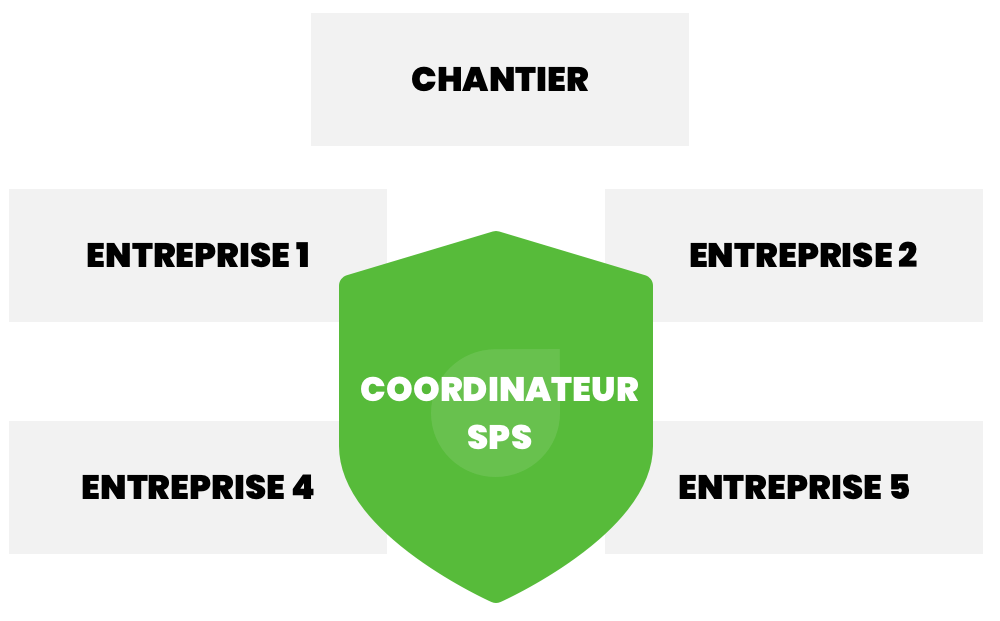 coordinateur-SPS Coordinateur SPS